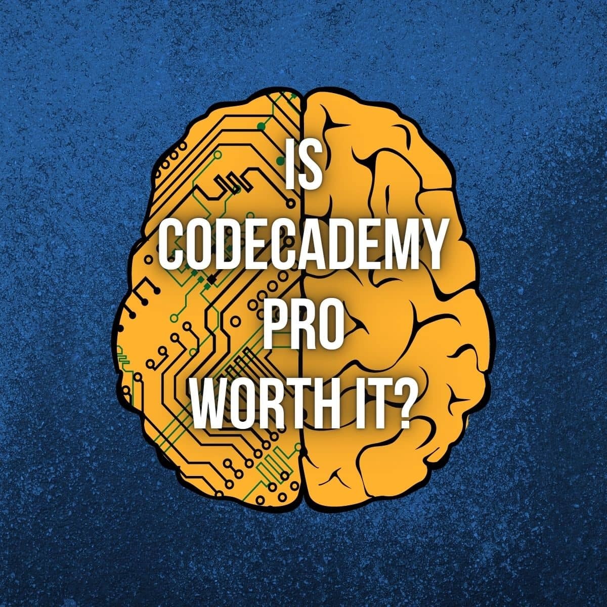 codecademy product image