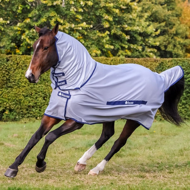 My Experience Shopping at Horse.com: Everything You Need for Your Barn