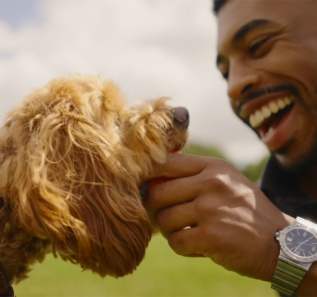 My Experience with Waggel Pet Insurance: Is It Worth It for Your Dog or Cat?
