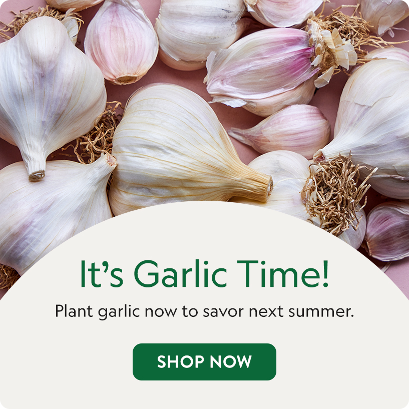 burpee seeds product image