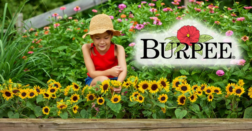 My Deep Dive Into Burpee Seeds: Are They Worth It? (Garden Review)