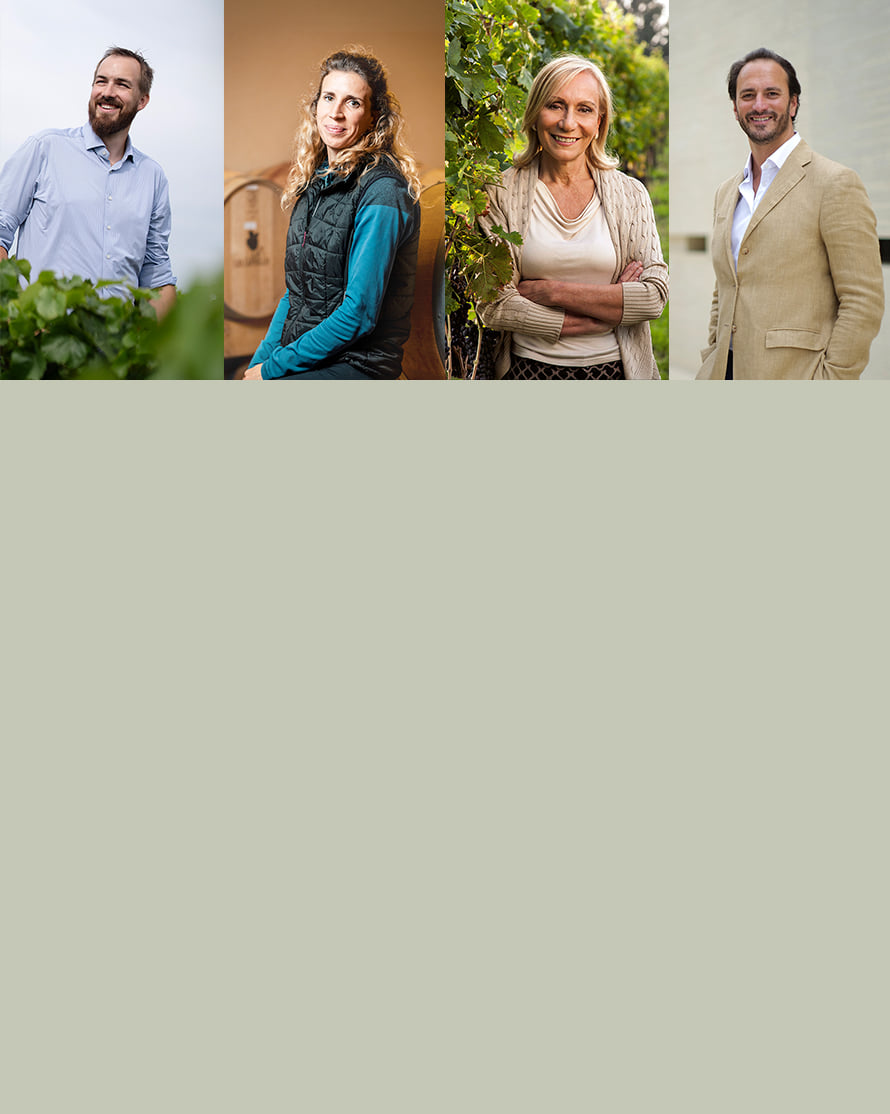 mövenpick wein product image